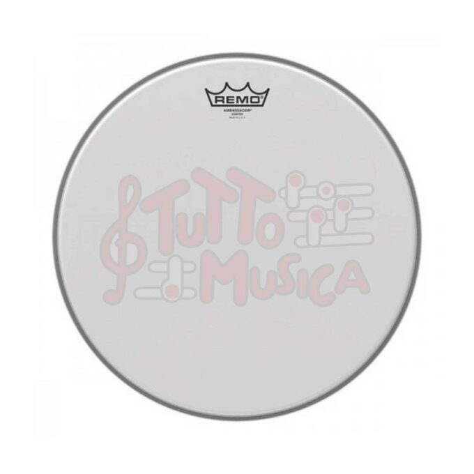 PELLE REMO COATED 10" AMBASSADOR - SABBIATA