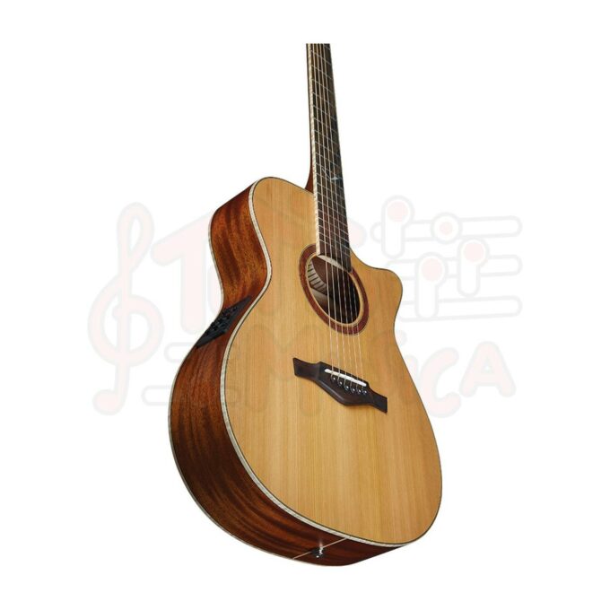 Eko guitars evo A350ce - immagine 4