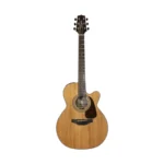 Takamine GSN1CE NG