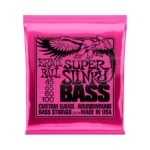 ErnieBall45-100