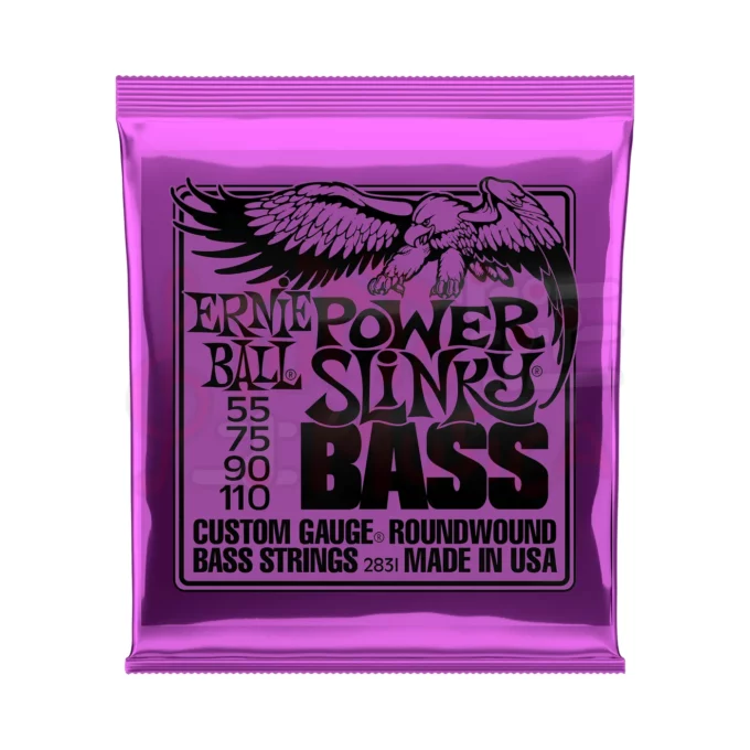 ErnieBall28312831