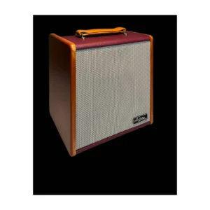 ArGuitar GEKO BR Amplificatore per chitarra acustica