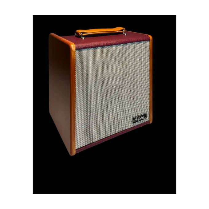 ArGuitar GEKO BR Amplificatore per chitarra acustica